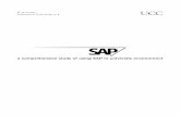 SAPuser.it.uu.se/~matsd/rapport.pdf · the SAP web page there exists a version of IDES that only consists of some parts ... Analysis (CO-PA). These three components aggregate together