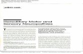 Hereditary Motor and Sensory Neuropathies Miller, · PDF fileinvolving vibration and position sense and, to a ... As opposed to the hereditary motor and sensory neuropathies—which