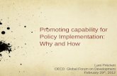 Promoting capability for Policy Implementation: Why · PDF file · 2016-03-29Promoting capability for Policy Implementation: Why and How Lant Pritchett ... approach to escaping capability