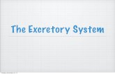The Excretory System - · PDF fileExcretory System Made up of: two kidneys, two ureters, 1 bladder 1 urethra Tuesday, December 19, 17. Ureters are tubes that carry urine to the bladder