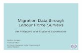 Migration Data through Labour Force Surveys - United · PDF fileMigration Data through Labour Force Surveys ... • Have temporary contract to work overseas ... but no questionnaires