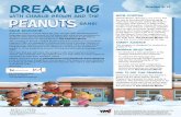 Dream Big - ymiclassroom.comymiclassroom.com/wp-content/uploads/2015/08/peanutsmovie-hs_kit.pdfPeanuts gang make their big-screen debut in The Peanuts Movie in 3D CGI on November 6,