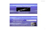 Orthopaedic Management of Shoulder Pathology - …static.aapc.com/a3c7c3fe-6fa1-4d67-8534-a3c9c8315fa0/cfa2b133-ce13...10/16/2012 1 Orthopaedic Management of Shoulder Pathology Marc