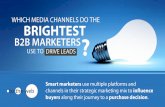 WHICH MEDIA CHANNELS DO THE BRIGHTEST -  · PDF fileWHICH MEDIA CHANNELS DO THE BRIGHTEST ... • LinkedIn InMail, Display Ads & Sponsored Updates ... B2B Lead Generation