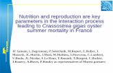 Nutrition and reproduction are key parameters in the ...archimer.ifremer.fr/doc/2006/acte-3467.pdf · leading to Crassostrea gigas oyster summer mortality in France ... summer mortality