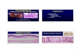 The Pathology of Inflammatory Bowel Disease · PDF file1 The Pathology of Inflammatory Bowel Disease Yunn-Yi Chen, MD, PhD UCSF Department of Pathology Objectives • Normal colon