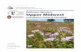 Pollinator Meadow Upper Midwest - The Xerces Society master list of acceptable plants for various locations and environments in the Upper Midwest. If you are designing a custom plant