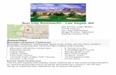 Sun City Summerlin Las Vegas, NV Vegas 55+ Communities.pdf · Sun City Summerlin - Las Vegas, NV Mid $100s–High $800s 7,779 Homes 55+ Age Restriction Single Family, Attached Resale
