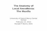 The Anatomy of Local Anesthesia - matero.net Anatomy of Local Anesthesia: ... to innervate the upper teeth. These are the nerves that we ... innervation. Nasopalatine Nerve