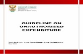 GUIDELINE ON UNAUTHORISED EXPENDITURE - … on...GUIDELINE ON UNAUTHORISED EXPENDITURE 3 8. Transactions such as those in paragraphs 6 and 7 above may not be accounted for as both