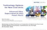 Technology Options for New Coal Units - UNECE Homepage · PDF fileIncreasing Steam Conditions Dramatically ... (include in-plant data) –Welding and fabrication for ... USC turbine