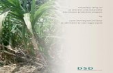 Feasibility study on an effective and sustainable bio ...dsdbv.com/Rapport-versie A-2.doc.pdf · an effective and sustainable bio-ethanol production program by ... production program