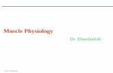 Muscle Physiology - Los Angeles Mission College 4... · © 2017 Ebneshahidi Comparison of the three types of muscle Striation: only present in skeletal and cardiac muscles. Absent