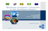 Business Incubator Initiatives in the Caribbean Region / Integra Business Incubator Initiatives in the Caribbean Region November 26, 2007 By Roshan Seebaluck Team Leader Business Incubation