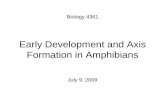 Early Development and Axis Formation in Amphibians Development and Axis Formation in Amphibians Biology 4361 July 9, 2009Authors: Scott F GilbertAffiliation: Swarthmore College