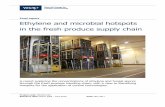 F inal report Ethylene and microbial hotspots in the fresh ... · PDF fileinal report Ethylene and microbial hotspots in the fresh produce supply chain ... and the effects of ethylene