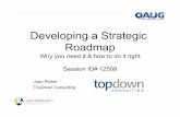 Developing a Strategic Roadmap - TopDown Consulting · PDF fileDeveloping a Strategic Roadmap ... business intelligence, data warehousing, ... Better access to data ! More timely reporting
