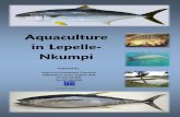 Aquaculture in Lepelle- · PDF file2.1 Background to fish farming ... Aquaculture is the farming of freshwater and saltwater organisms under controlled conditions. ... carp, trout