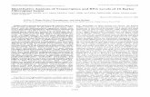 THE BIOLOGICAL JOURNAL No. 30, Issue OF · PDF file · 2001-06-19Quantitative Analysis of Transcription and RNA Levels of 15 Barley ... sona and Ozeki, 1987; Ohyama ... ase; ribulose-P2