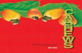 WorldCashewMap 2 - African Cashew Alliance of about thirty countries across the globe within a band approximately 25-30 degrees north and ... Indian, and Vietnamese raw ... importers