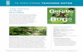 The Genius of Bugs - Te Papa · PDF fileThe Genius of Bugs is a new, ... unable to make ‘a tiny robot that can fly like ... their ‘ball-shaped nest’ (pp. 26–27)?