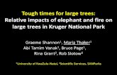 Tough times for large trees: Relative impacts of elephant … times for large trees: Relative impacts of elephant and fire on large trees in Kruger National Park Graeme Shannon 1,
