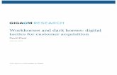 Workhorses and dark horses: digital tactics for customer ...go.extole.com/rs/extole/images/Gigaom Research - Work horses and... · Create a mosaic of tactics to acquire customers
