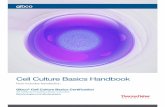 Cell Culture Basics Handbook - Thermo Fisher Scientific · PDF file · 2018-03-18Cell counter ... Cell Culture Basics Companion Handbook is a supplement to ... concerning primary