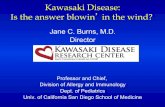 Kawasaki Disease: Is the answer blowin in the wind? - …idash.ucsd.edu/sites/default/files/events/webinar_answer_blowin... · Kawasaki Disease: Is the answer blowin’ in the wind?