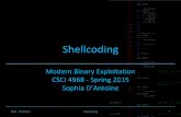 Modern Binary Exploitation CSCI 4968 - Spring 2015 …security.cs.rpi.edu/courses/binexp-spring2015/lectures/7/05... · MBE - 02/20/15 Shellcoding Shellcoding Modern Binary Exploitation