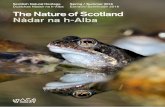 Scottish Natural Heritage Spring / Summer 2016 Dualchas N ... · PDF file10 Norwegian wood South ... Comparing and contrasting our natural heritage is the theme in a guest article