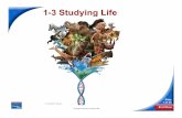 1-3 Studying Life - · PDF file1-3 Studying Life Slide 6 of 45 ... Matter and Energy Life’s most basic requirements are matter that serves as nutrients to build body structure and