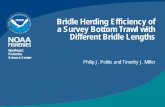 Bridle Herding Efficiency of a Survey Bottom Trawl with ... · PDF fileBridle Herding Efficiency of a Survey Bottom Trawl with Different Bridle Lengths. Philip J. Politis and Timothy