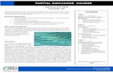 PARTIAL DISCHARGE COURSE · PDF filePartial Discharge or Corona Void Formation Electrical Discharges PD ... test techniques) and is the anadian representative for igre S A1 (rotating