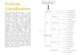 Protista Classification - Mt. San Antonio Collegeinstruction2.mtsac.edu/mcooper/Biology 2/Biology 2/Labs/Lab 1 2015...Protista Classification The kingdom Protista ... Slime Molds 1.