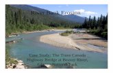 River Bank Erosion - University of  · PDF fileBackground: River Bank Erosion • What causes river bank erosion? • 2 main mechanisms: • Bank scour • Mass failure