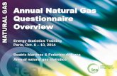 Annual gas questionnaire · PDF filePresentation overview A brief ... Structure of the annual gas questionnaire Structure and presentation ... •Natural gas consumed by the energy