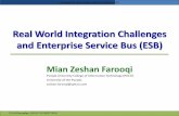 Real World Integration Challenges and Enterprise Service Bus (ESB) · PDF fileReal World Integration Challenges and Enterprise Service Bus (ESB) Punjab University College of Information