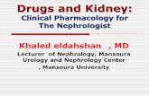 Drugs and Kidney - Mans - مصرsmh.mans.edu.eg/files/pdf/conf/2013/Copy_of_Drugs_and_Kidney_De… · Renal Vulnerability to Drug Toxicity Nephrology Self-Assessment Program - Vol