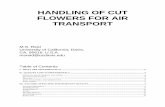 HANDLING OF CUT FLOWERS FOR AIR TRANSPORTucce.ucdavis.edu/files/datastore/234-1373.pdfHANDLING OF CUT FLOWERS FOR AIR TRANSPORT M.S. Reid ... and harvest may start within a few months