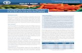 Agro-Industries and Infrastructure Unit POLICY · PDF fileFood and Agriculture Organization of the United Nations ... Agro-Industries and Infrastructure Unit POLICY BRIEF ... transport