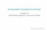 MANAGEMENT INFORMATION SYSTEMS Chapter 1 Information ... 01.pdf · MANAGEMENT INFORMATION SYSTEMS Chapter 1 ... information system and describe its management, organization, ... of