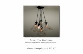 Metamorphosis 2017 - AmeriTec Lighting | American Made ... · PDF fileglass, acrylic, mica, wood, metal, and fabrics has generated many breathtaking fixtures. All AmeriTec Lighting