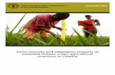 Food security and adaptation impacts of potential climate ... · PDF filepotential climate smart agricultural practices in Zambia . i FOOD SECURITY AND ADAPTATION IMPACTS OF POTENTIAL