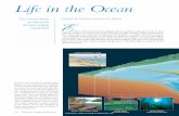 Life in the Ocean - A.P. Environmental Science- Kearny ... · PDF filedenizens of the open ocean blue marlin plankton krill minke whale blue shark squid eelpout grenadier submersible