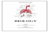 BIOLOGY - Mostafa's worldmostafaworld.yolasite.com/resources/Respiration U1 CH… ·  · 2015-02-02BIOLOGY FOR GENERAL SECONDARY ... M . A . B a r a k a t | P a g e The concept of