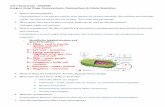 Unit 2 Study Guide - ANSWERS Energy in Living Things: · PDF file · 2017-02-03Energy in Living Things: Chemosynthesis, Photosynthesis & Cellular Respiration 1. ... they were incorporated