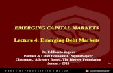 EMERGING CAPITAL MARKETS Lecture 4: Emerging Emerging...EMERGING CAPITAL MARKETS Lecture 4: Emerging Debt Markets ... â€¢ The instruments used by developed countries to ... â€¢