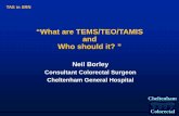 “What are TEMS/TEO/TAMIS and Who should it? · PDF fileColorectal TAS in SRN Cheltenham “What are TEMS/TEO/TAMIS and Who should it? ” Neil Borley Consultant Colorectal Surgeon