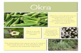 Okra - hcnp.  · PDF fileOkra Okra is a very good source of Vitamins A, C and K. They also contain important minerals like iron, calcium, manganese and magnesium. Okra is locally